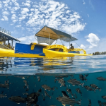 5 Tips Snorkeling di Bangsring Banyuwangi