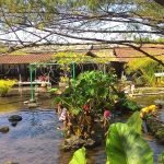 Perpaduan Wisata Air dan Kuliner di Boyolali Cocok di Kunjungi Bersama Keluarga