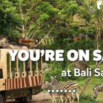 Harga Tiket Bali Safari Marine Park